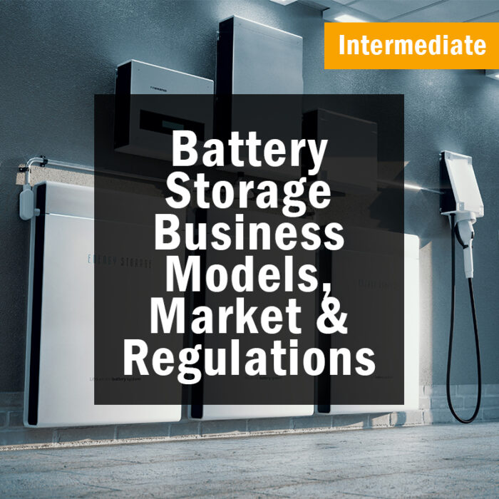 Battery Storage: Business Models, Markets, and Regulations (Intermediate)