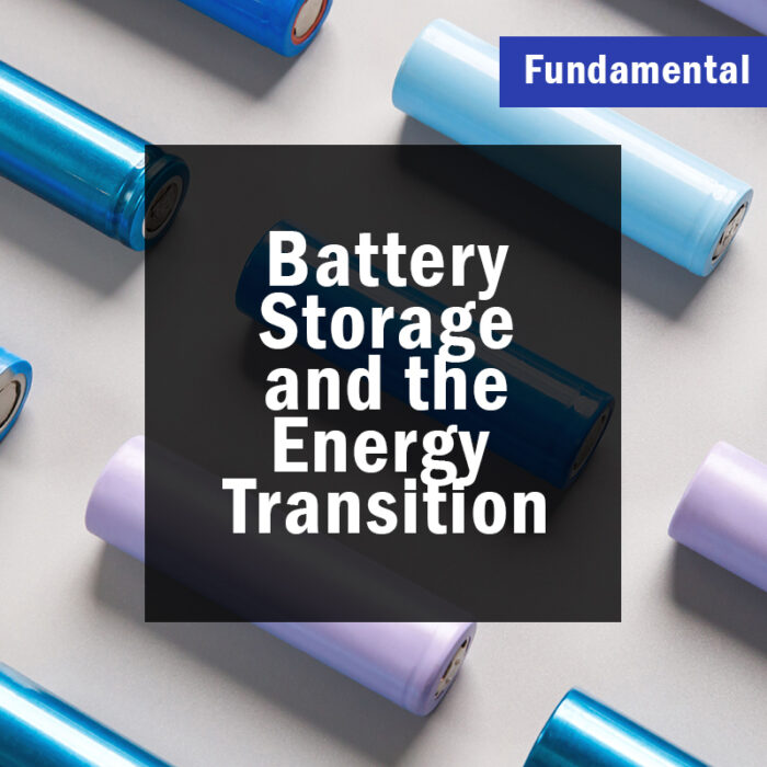 Battery Storage and the Energy Transition (Fundamental)