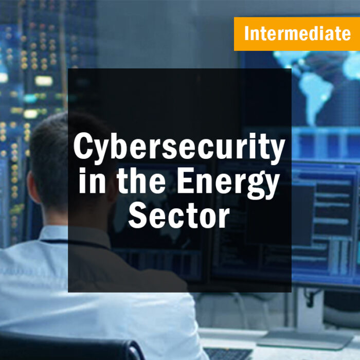 Cybersecurity in the Energy Sector (Intermediate)