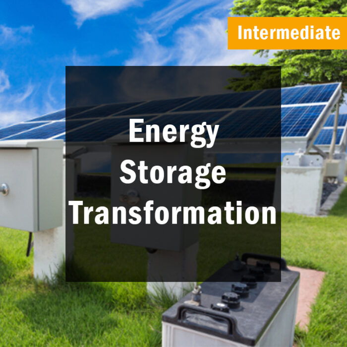 Energy Systems Transformation (Intermediate)